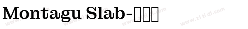 Montagu Slab字体转换